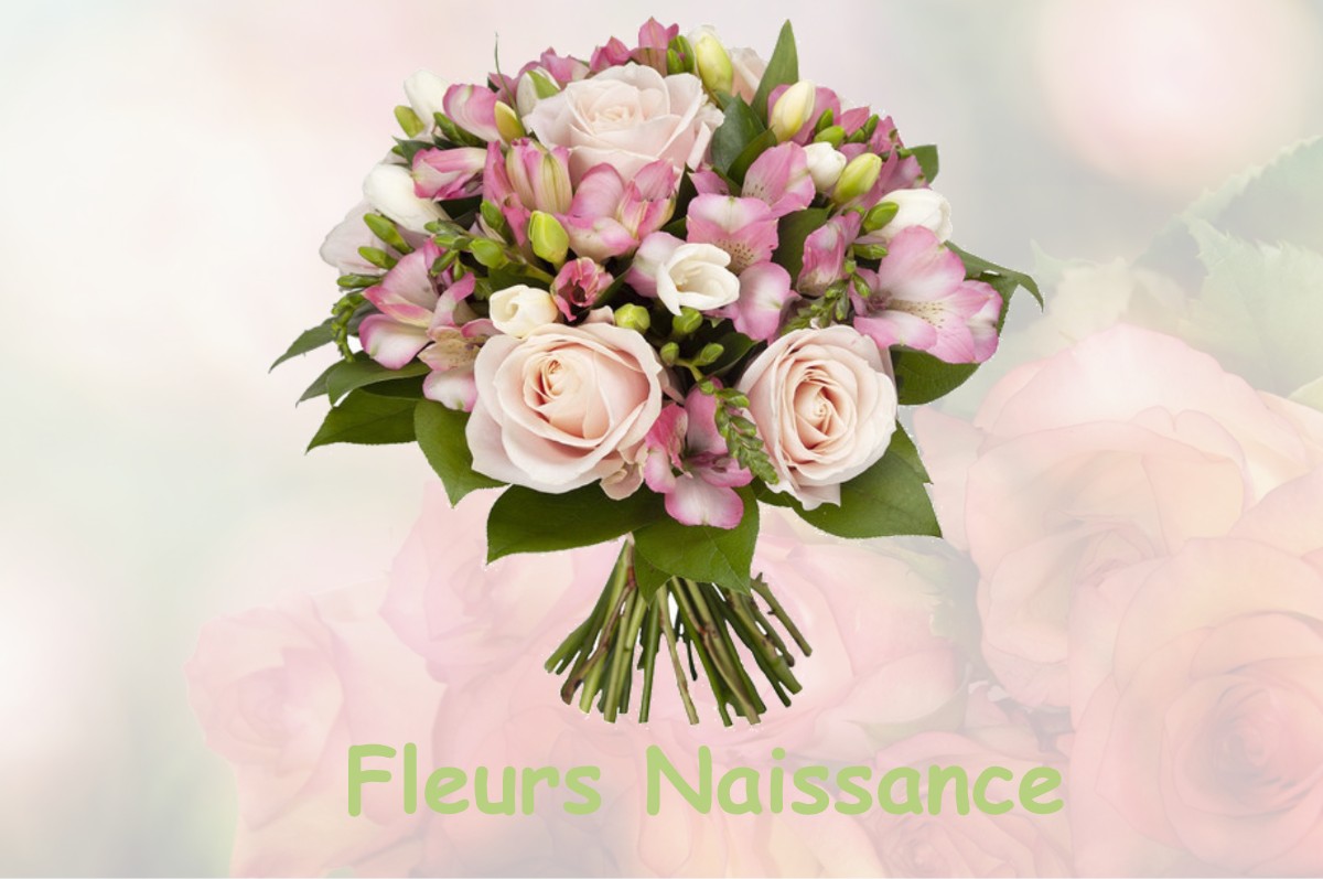 fleurs naissance SAINT-ALBAN-DES-HURTIERES